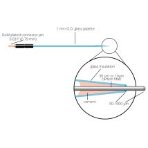 Carbon Fiber Electrode, L 100 um