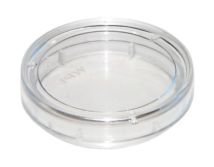 Coated FluoroDish Cell Culture Dish