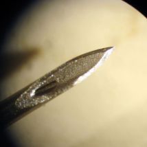 Hydrogen Peroxide Microsensors