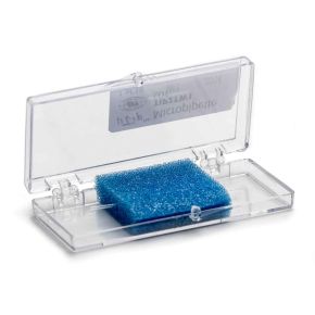 Micropipette Tips for Nanoliter 2020/2010