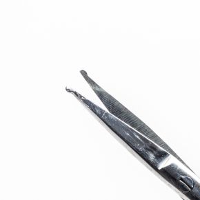 Dissecting Eye Scissors, 10cm, Curved, Blunt Probe Tips