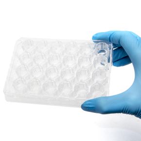 SUMILON Companion Plate for 24 Well Cell Culture Inserts, Pkg of 12