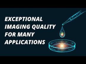 Uncoated FluoroDish Cell Culture Dish, Pkg of 100