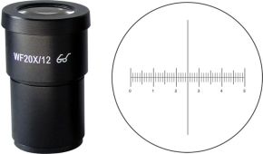 Microscope Reticle in 20x Eyepiece