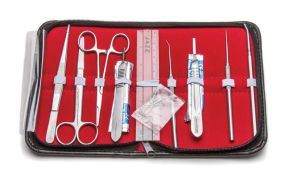 Student Anatomy Kit II
