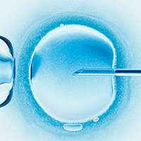 What You Should Know About Choosing a Syringe Pump