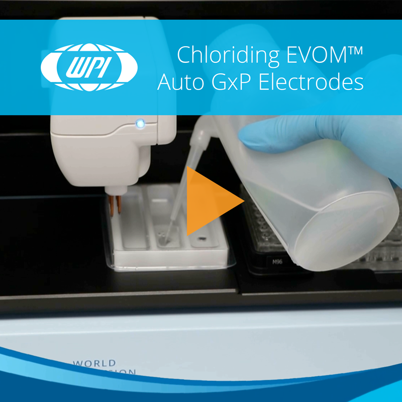 How to Chloride EVOM™ Auto GxP Electrodes