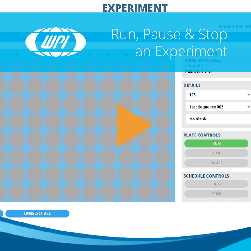How to Run, Pause & Stop an EVOM™ Auto GXP Experiment
