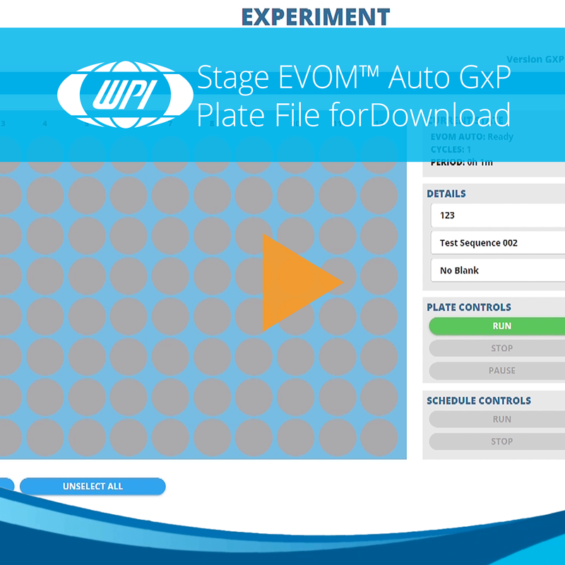 How to Stage a Plate File from the Experiment Window for Downloading on EVOM™ Auto GXP 