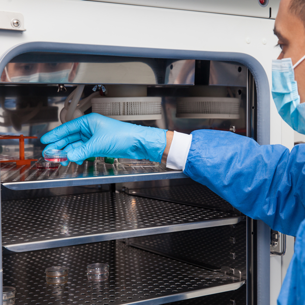 How Surface Treatments Impact Cell Culture Growth