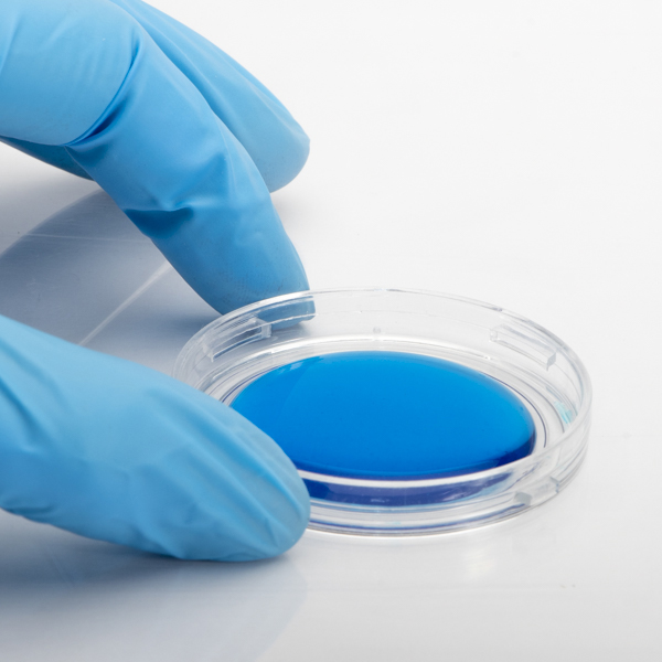 Poly-L-Lysine Coated Culture Dishes: Versatile, Reliable, & Biologically Active Surface