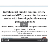 WPI Equipment Used for MCAO on a Mouse