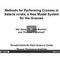 WPI Instruments featured in JoVE Video on Cross-Pollination