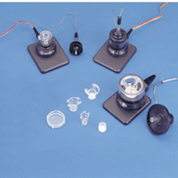 TEER Measurement in Individual Endothelial Cell Cultures Cups
