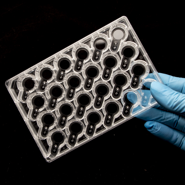 Streamlining Barrier-Integrity Assays: Introducing the 24-Well SUMILON Companion Plate