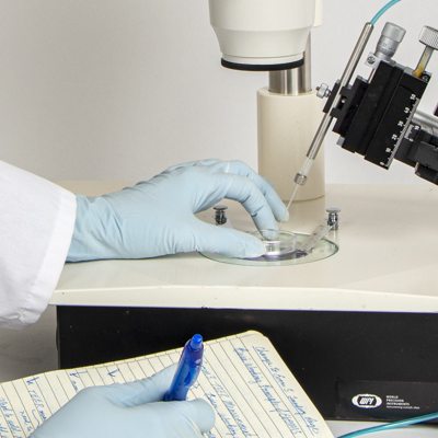 Improve Research Results with Glass Bottom Culture Dishes