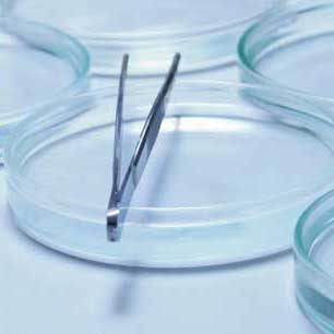 Explore the Difference Between Tissue and Dressing Forceps