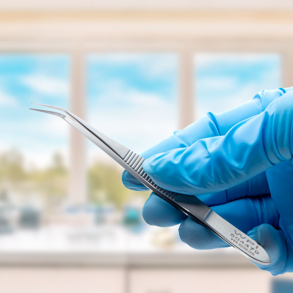6 Tips for Properly Storing and Maintaining Thumb Forceps