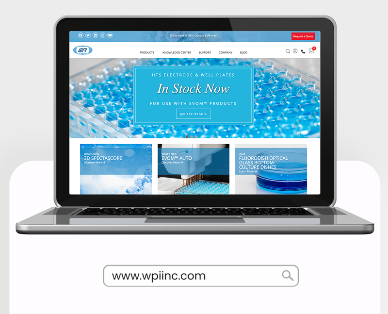 VIDEO: New Year. New Us. New Web.