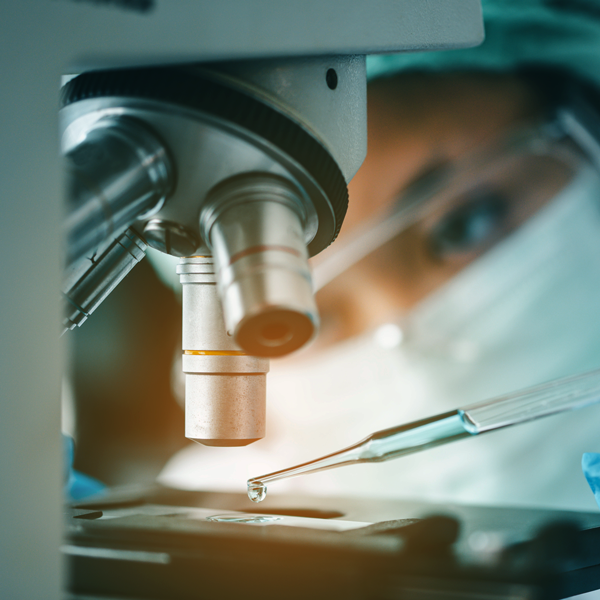 Organoids in Biomedical Research: Opportunities and Challenges