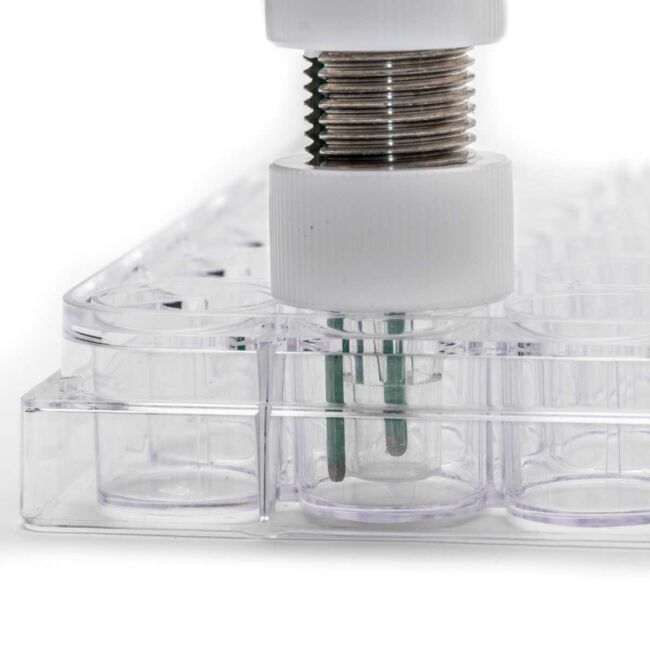 Applications for TEER Measurement in Drug Discovery