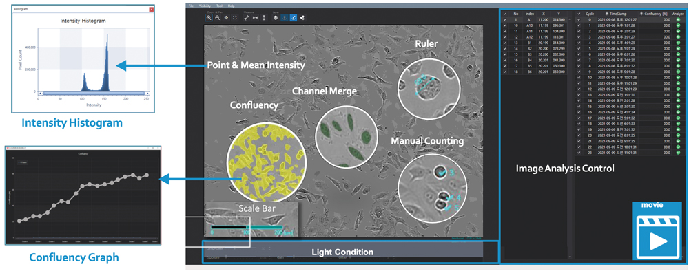 AUTOLCI analysis app software