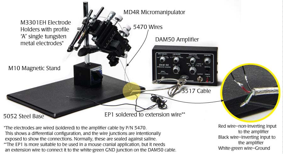 Mouse Cranial Application