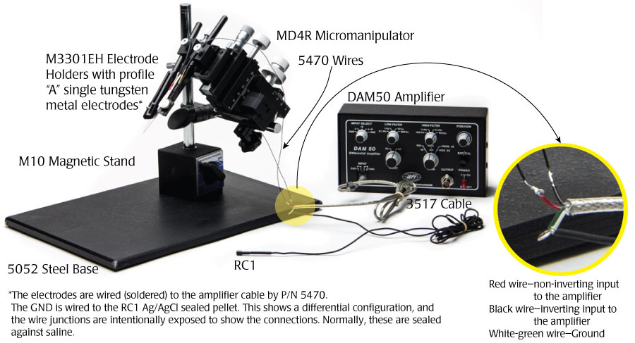 Rat Cranial Applications