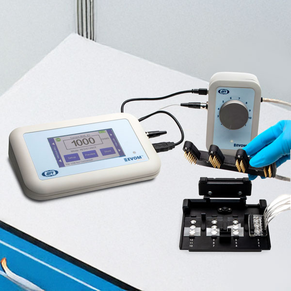 Multiplexed TEER measurement for OOC