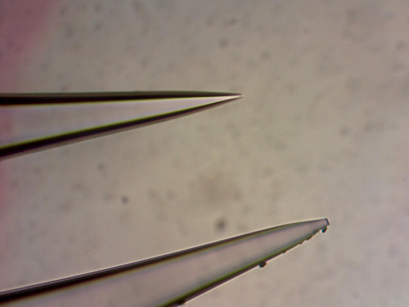 Micropipette_10_5um_100X