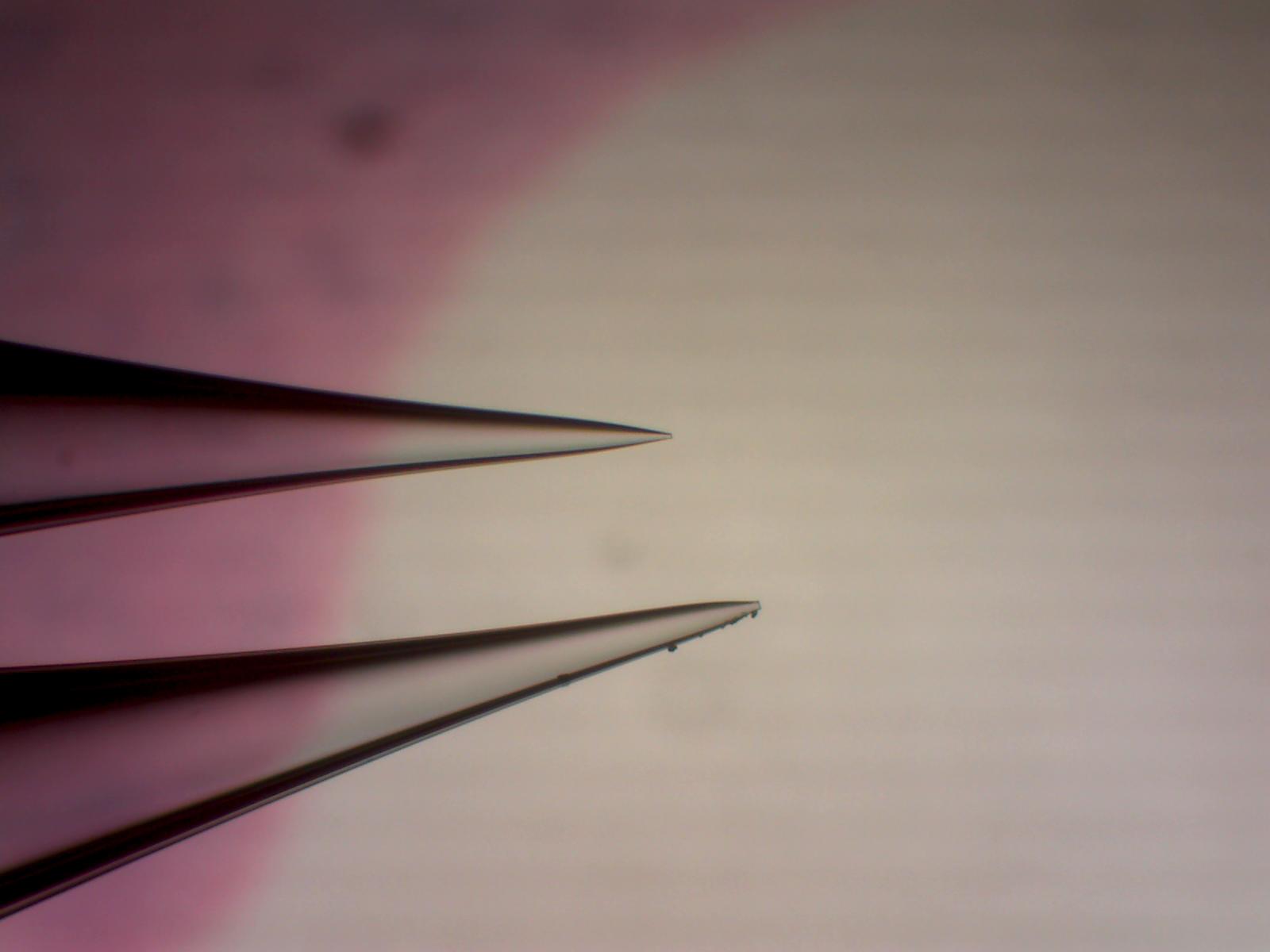 Micropipette_10_5um_40X