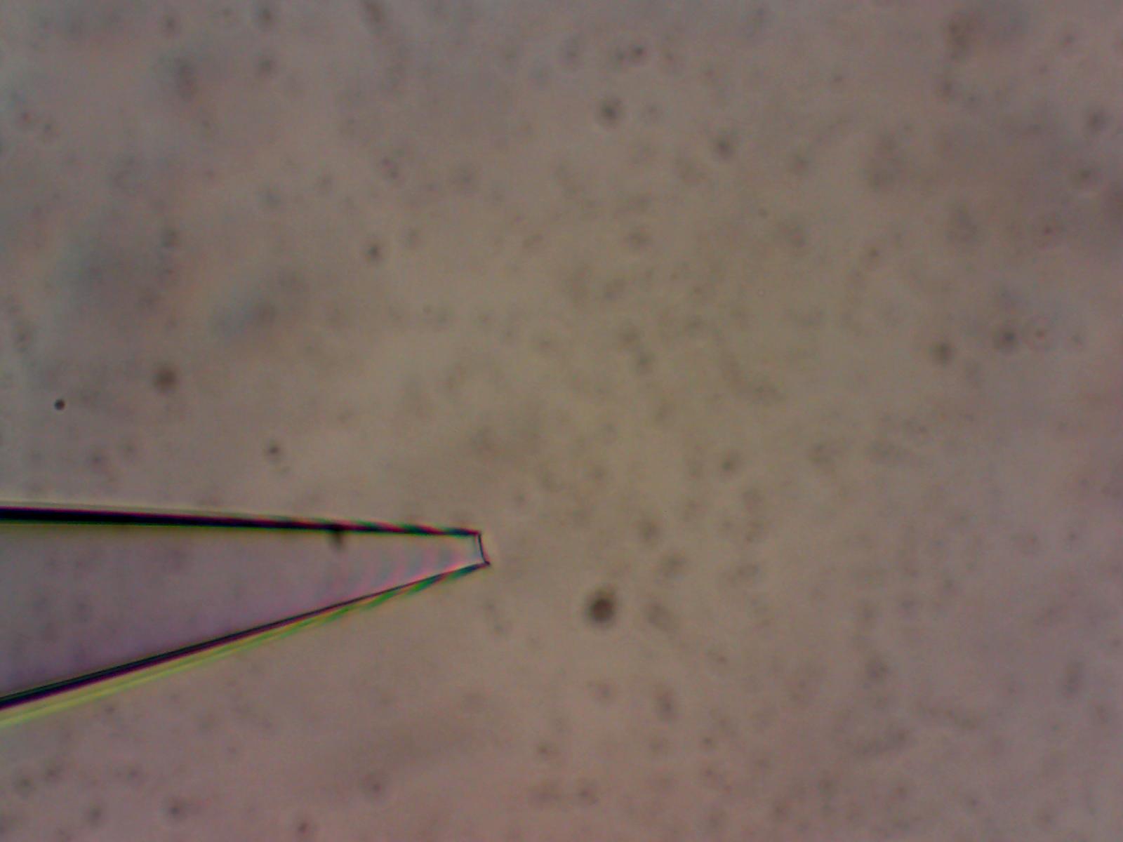 Micropipette_5um_400X