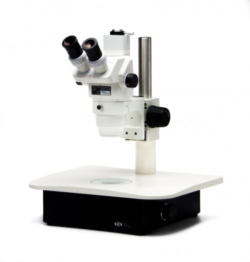 Trinocular microscope on lighted base