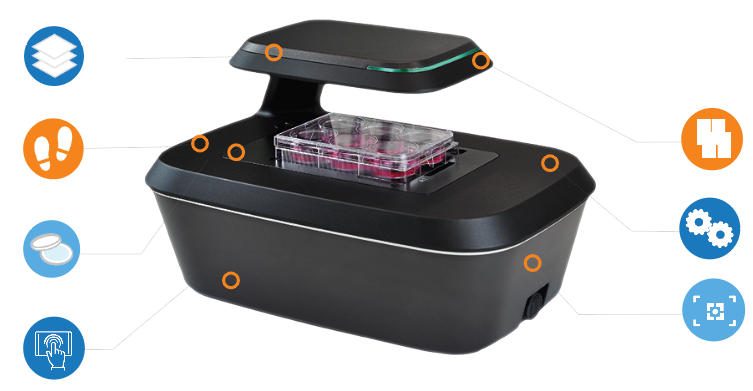 Benefits of automated live cell imaging