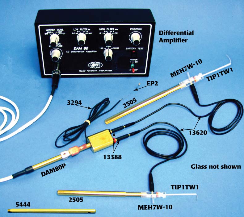 EXTRACELLULAR APPLICATIONS UTILIZING GLASS
