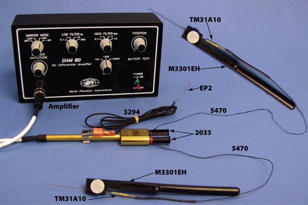 DIFFERENTIAL APPLICATION FOR METAL ELECTRODES
