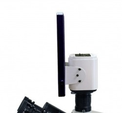 Camera and screen mounted on the trinocular port