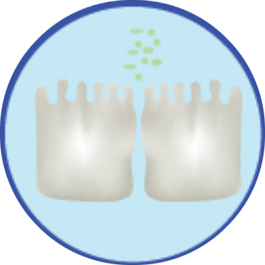 EVOM Barrier Studies