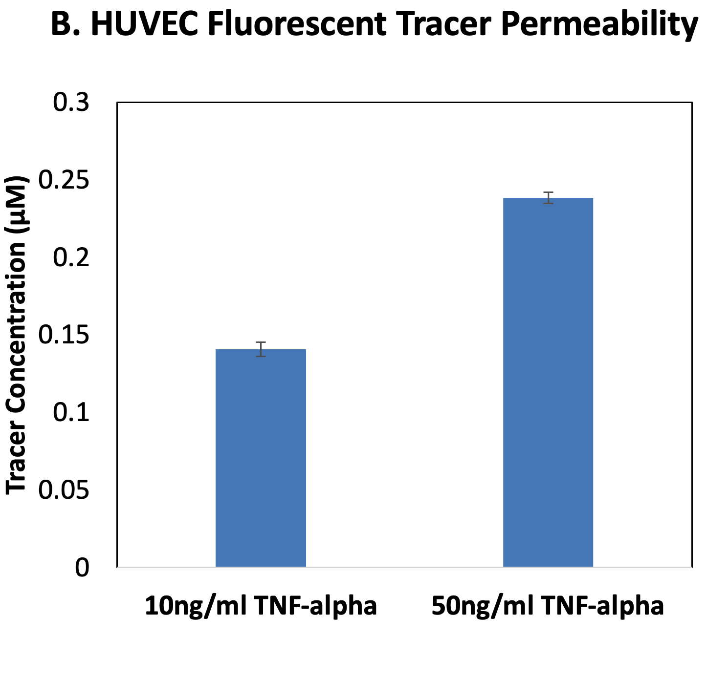 HUVEC Tracer Permeability