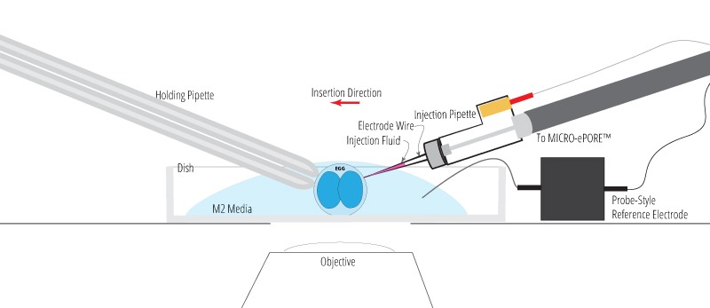 Setup showing the well-style reference electrode