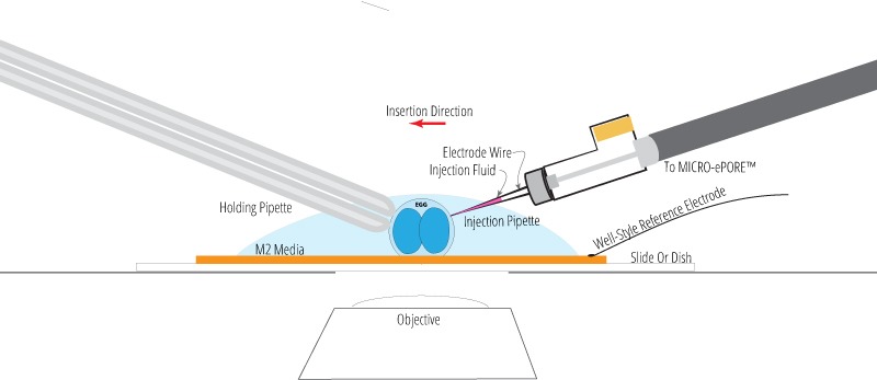Setup showing the well-style reference electrode