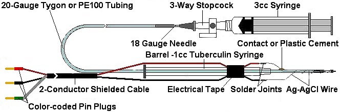 Constructing an Extracellular Suction Electrode