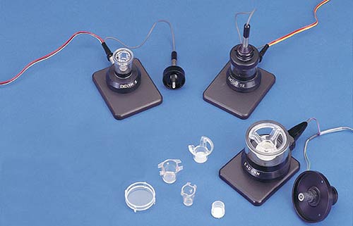 Individual Endothelial Cell Cultures Cups