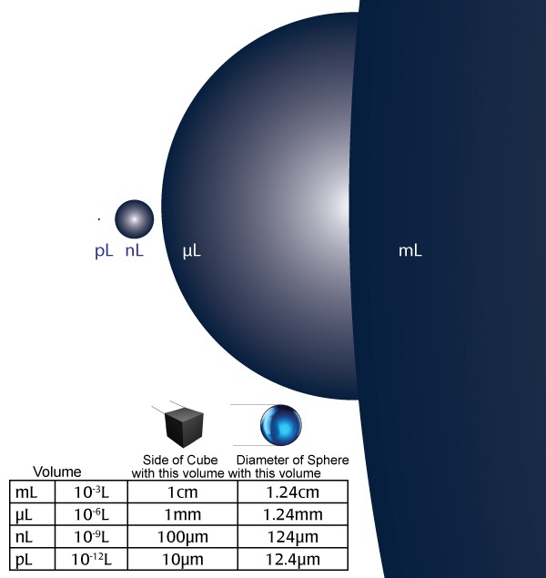 Graphically represented at the right