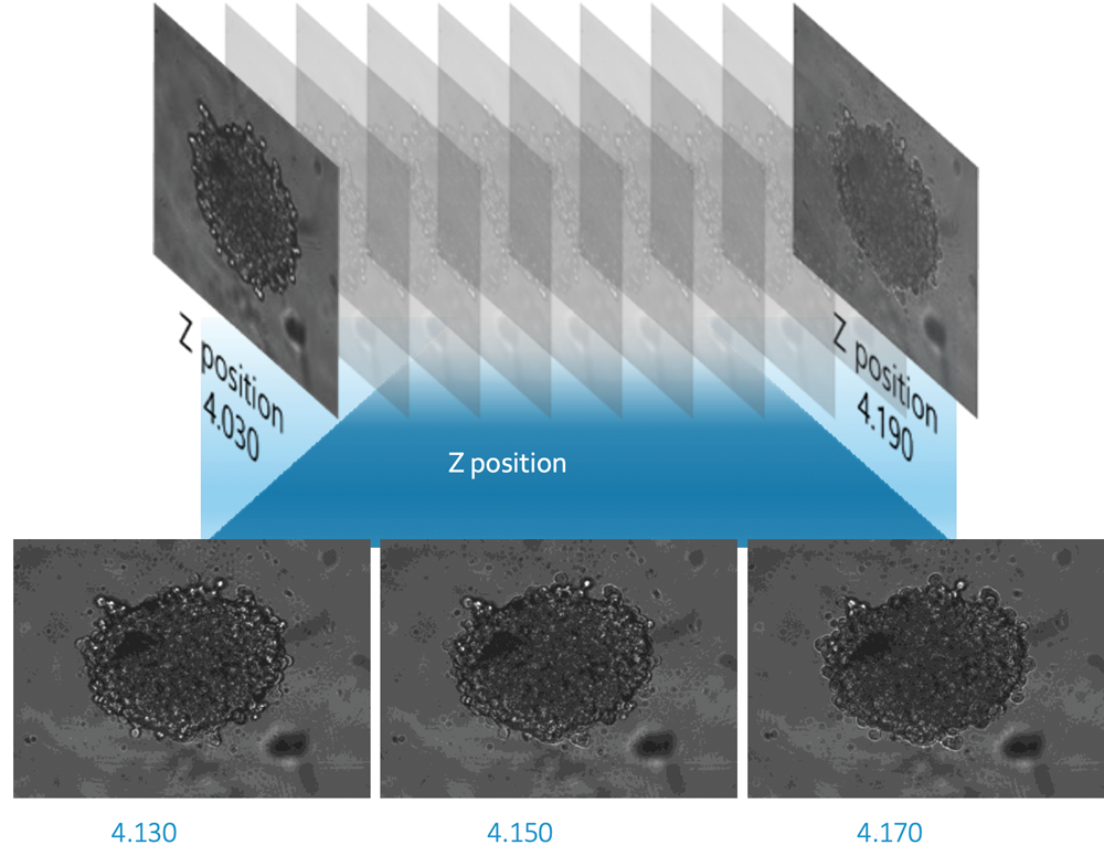 Z-stacking in the software