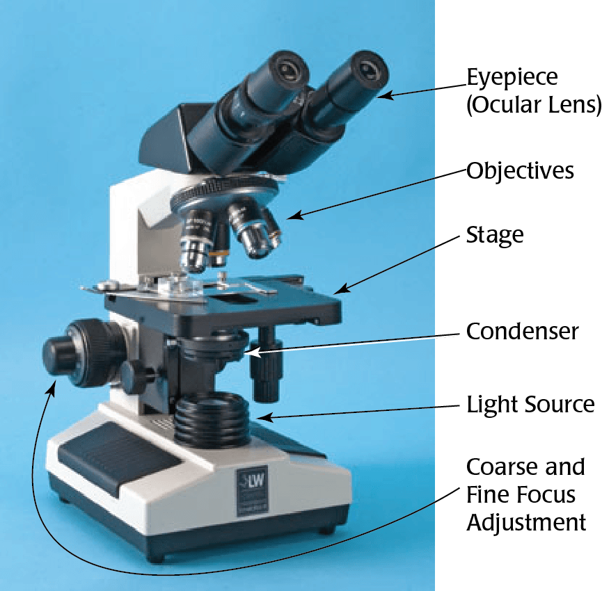 Labeled microscope
