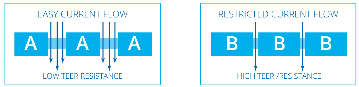 TEER Measurement of Leaky & Tight Cell Types