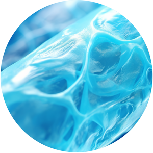 Tissue Engineering and Cell Culture